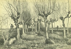 Bouleaux émondés - Vincent van Gogh